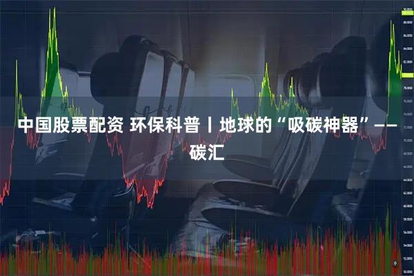 中国股票配资 环保科普丨地球的“吸碳神器”——碳汇
